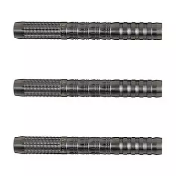 DYNASTY BLACK LINE Тип покрытия BIONIC2 2BA Berry Van Peer Player Модель Dart Barrel Набор дротиков A-FLOW