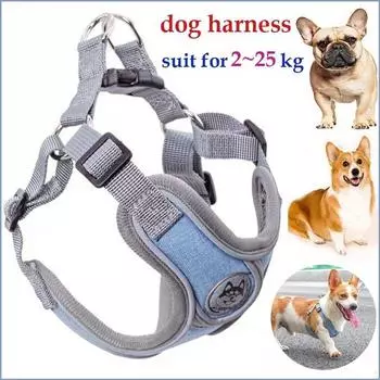 Дышащая шлейка для собак с поводком Светоотражающая оксфордская шлейка для собак Регулируемый размер Маленькие средние собаки XS (no Leash) серый