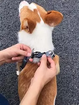 Дышащая шлейка для собак с поводком Светоотражающая оксфордская шлейка для собак Регулируемый размер Маленькие средние собаки XS (no Leash) фиолетовый