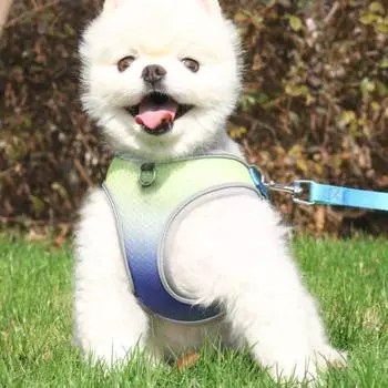 Дышащая шлейка для собак, жилет, градиентный цвет, поводок для выгула собак, поводок для собак на грудь, спину, щенок S зелёный/фиолетовый