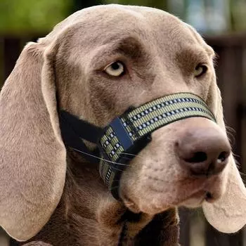 Дышащая защита от лая для собак, предотвращает укусы лающих собак, аксессуары для собак S хаки