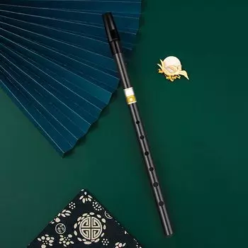 Джинчуань Свисток из олова Алюминиевый с учебными материалами и для хранения Золотой Серебряный D D-трубка C-трубка Сумка/Чехол (Черный, Ключ)