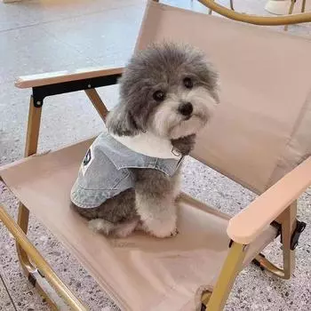 Джинсовая куртка с капюшоном для домашних животных, свитер с капюшоном для собак, одежда для кошек, милая ковбойская шляпа для собак и медведей, ковбойский жилет, весенний и осенний костюм для собак XS