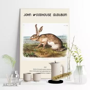 Джон Вудхаус Одюбон, художник по дикой природе, плакат, фреска с техасским зайцем 21cm30cm NoFrame