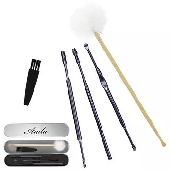 Earpick Earpick Изготовлен из нержавеющей стали Набор из 4 насадок в 6 металлических винтовых ложек-катушек Специальный специальный чехол Beautiful Ear Ear Ear Ear Allura Earpick хром