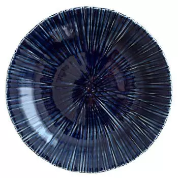 EAST table Большая тарелка 25 см резная Jugusa Navy Minoruba Сделано в Японии Подходит для микроволновой печи Можно мыть в посудомоечной машине Тарелка Столовая посуда kspl01125001