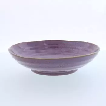 EAST table Made in Large Japanese Dishwasher Microwave Safe Curry/Pasta Plate, Oven, 21cm, Twilight, Morning, Japan, Plate, Tableware, Safe, 17-022-01