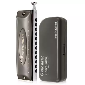 East top Chromatic Chromatic 12 C 12 48 Высококачественная нержавеющая сталь ABS Clean For Practice Harmonica Гармошка, губная гармошка, отверстия, настройка, отверстия,
