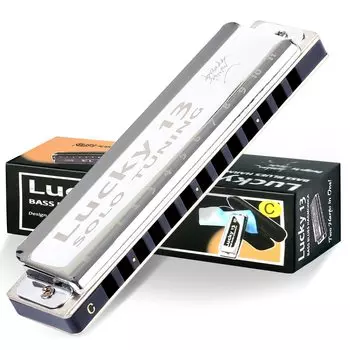East Top Губная гармошка блюзовая губная гармошка 13 отверстий C настроенная джазовая профессиональная для взрослых детей обучение практика латунный чехол холщовый чехол Lucky13 (соло-C)
