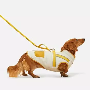 Easy Shearing Harness Jumper 2.0 Dog Fall Winter Clothes Walking T-shirt Padding Blue XL