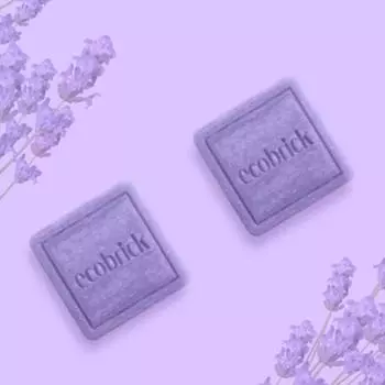 Ecobrick Shampoo Bar Mildly acidic solid shampoo for healthy hair and damaged scalp care, 100g, 1 piece