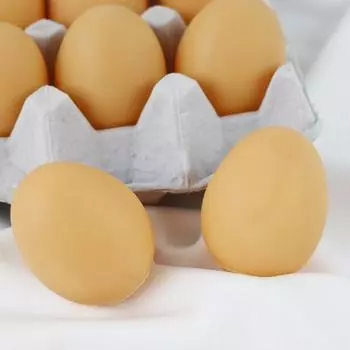 Ее домашний кальмар, вареное яйцо, скрипучие игрушки для собак, 5 шт.