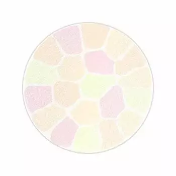 Elegance La Poudre Auto Nuance Refill VI Airy [предмет]