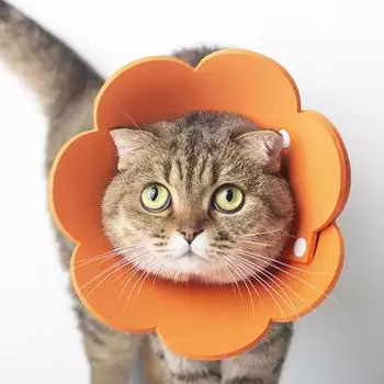 Elizabeth Circle регулируемый антицарапающий ошейник для кошек в форме цветка 1 шт. милый для послеоперационного восстановления зоомагазин войлочный ювелирный аксессуар S жёлтый