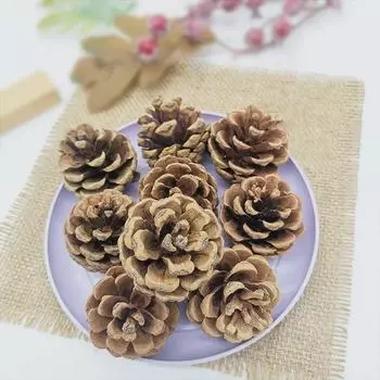 Елочные украшения из натуральных сосновых шишек с сушеными и бессмертными цветами, аксессуары для самостоятельного изготовления из окрашенных в белый цвет сосновых шишек