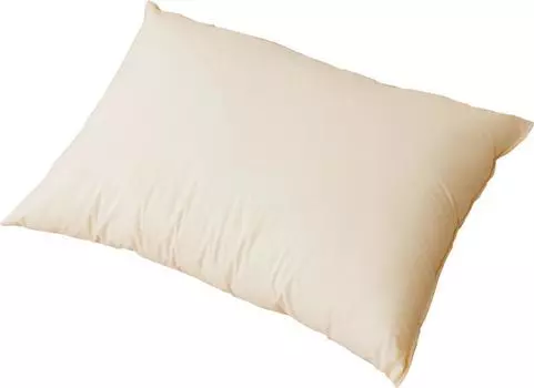 Emur Washable Futon Series 43 x 63 Made in Quick Polyester Pillow, Approx. cm, Japan, Washable, Dry,