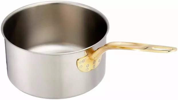 Endo Shoji Commercial Superdenji Stew Pan 21cm Stainless Steel Pot for Induction Cooker Made in Japan AST96021 (No Lid)