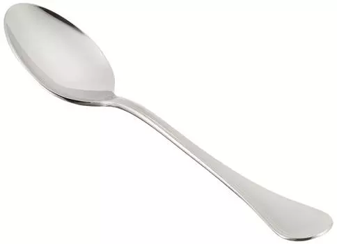 Endo Shoji Commercial Winsome Dessert Spoon Stainless Steel Made in Japan OUI01003 18-12