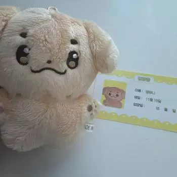 ENHYPEN Джейк Долл Данг Юни