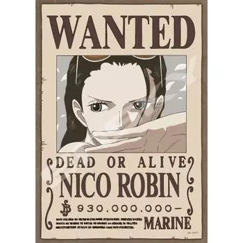 ENSKY One Piece Archaeologist Devil Child Nico Robin 18.2 x 25.7cm Jigsaw Puzzle 208 Piece JIGSAW PUZZLE 208-140