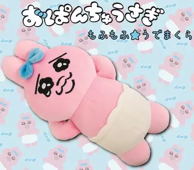 Ensky Panchu Rabbit Fluffy Arm Pillow 240 x 140 x 80 mm Made of Polyester M Approx.