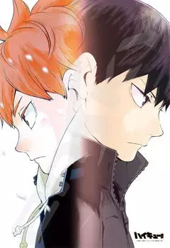 ENSKY The Determination of Two 26 x 38cm Jigsaw Puzzle 300 Pieces JIGSAW PUZZLE Haikyu!! 300-1532