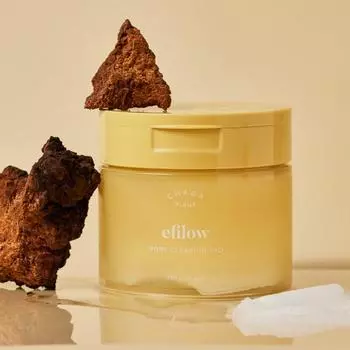 Epilow Chaga Biome текстурирующие подушечки для очистки пор, 70 листов, 1 шт.