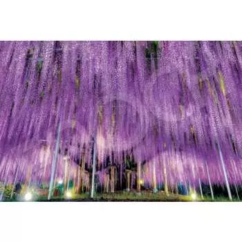 EPOCH 1000 piece jigsaw puzzle Ashikaga s Big Wisteria - Tochigi (50x75cm) 09-050s with glue and spatula with score ticket EPOCH