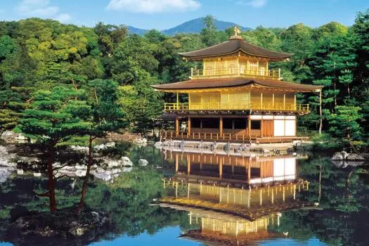 EPOCH 1000 Piece Jigsaw Puzzle Japanese Scenery Fresh Green Kinkakuji Temple Kyoto x Comes with spatula and score ticket included EPOCH - (50 75cm)