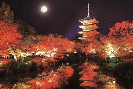EPOCH 1000 Piece Jigsaw Puzzle Japanese Scenery Autumn Toji Temple Pagoda Kyoto x Glue Included Spatula Included Score Ticket Included EPOCH