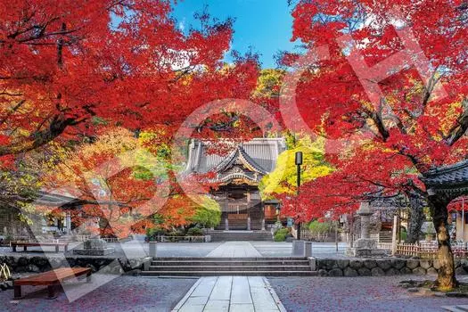 EPOCH 1000 Piece Jigsaw Puzzle Japanese Scenery Beautiful Autumn at Shuzenji Temple Shizuoka x with glue and spatula with score ticket EPOCH - (50