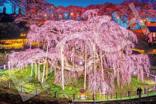 EPOCH 1000 Piece Jigsaw Puzzle Japanese Scenery Miharu Takizakura Fukushima x with glue and spatula with score ticket EPOCH - (50 75cm) 09-058s