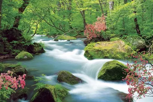 Epoch 1000 Piece Jigsaw Puzzle Puzzle Master Oirase Gorge Aomori Aim! - (50x75cm)