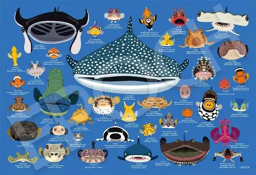 EPOCH 100 Large Piece Jigsaw Puzzle Taro Tomonaga Kao Sakana x Comes with glue and spatula Score ticket included Illustration/Art (26 38cm) 26-506