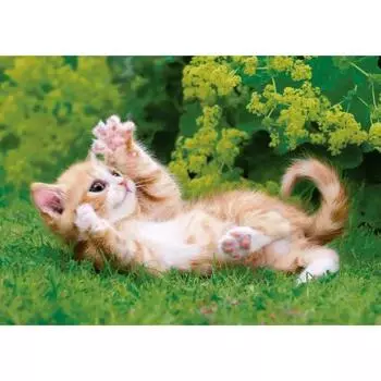 EPOCH 108 Piece Jigsaw Puzzle Creatures/Pets Cat Cat (18.2 x 25.7cm) 01-070 Comes with glue, spatula included, and score ticket included EPOCH