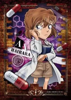 EPOCH 108 Piece Jigsaw Puzzle Detective Conan Scientist Ai Haibara x Comes with and score ticket included EPOCH (18.2 25.7cm) 03-068 glue, spatula,