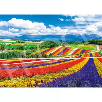 EPOCH 2000 Super Small Piece Jigsaw Puzzle Japanese Landscape Rainbow Colored Four Seasons Hill - Hokkaido (38 x 53cm) 54-240 Comes with Glue, Spatula