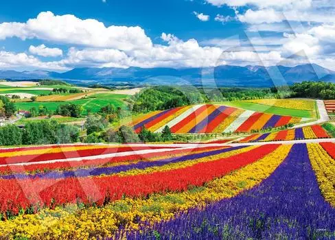 EPOCH 2000 Super Small Piece Jigsaw Puzzle Japanese Landscape Rainbow Colored Four Seasons Hill Hokkaido x Comes with Spatula Score Ticket Included