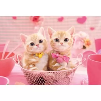 EPOCH 300 Piece Jigsaw Puzzle Creature/Pet Cat Momoiro Cat (26 x 38cm) 25-164 Comes with Glue, Spatula Included, Score Ticket Included EPOCH