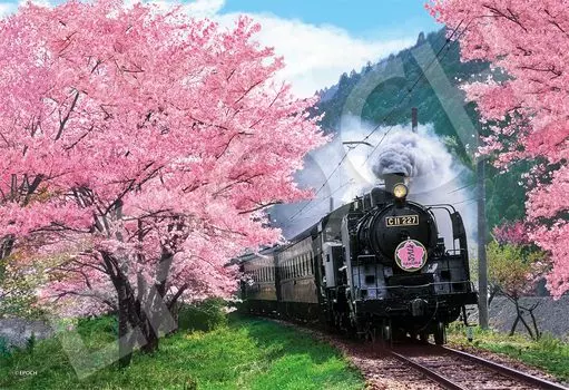 EPOCH 300 Piece Jigsaw Puzzle Japanese Scenery Cherry Blossoms and Oigawa Railway Shizuoka x with Glue and Spatula with Score Ticket EPOCH - (26 38cm)