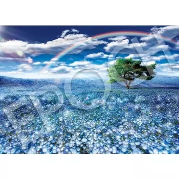 EPOCH 500 Piece Jigsaw Puzzle Japanese Landscape Mystic View Nemophila and Lucky Rainbow (38 x 53cm) 05-201s Comes with Glue, Spatula Included, Score