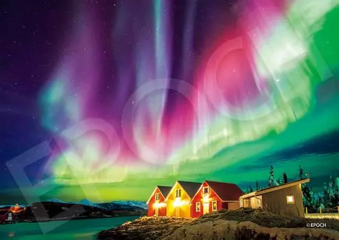 EPOCH 500 Super Small Piece Jigsaw Puzzle Aurora Sparkling Night Sky Norway x Comes with and score ticket included - (18.2 25.7cm) 52-807 glue,