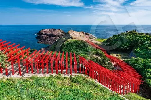 Epoch Пазл из 1000 деталей Храм Мотоносуми - Ямагути (50x75cm) 09-049s с клеем и шпателем с оценочным талоном EPOCH