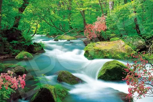 Epoch Пазл из 1000 деталей Ущелье Оирасэ - Аомори (50x75cm) 09-041s с клеем и шпателем с оценочным талоном EPOCH