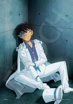 Epoch Пазл из 108 деталей Детектив Конан Шрамированный вор (18,2 х 25,7 см) 03-087 В комплект входят клей, шпатель и оценочный талон EPOCH