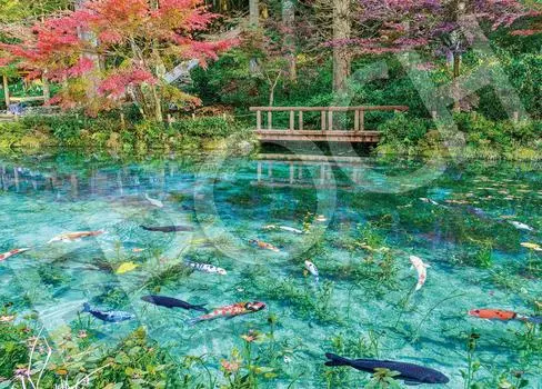 Epoch Пазл из 500 деталей Японский пейзаж Безымянный пруд - Гифу (38 х 53 см) 06-306s с клеем и шпателем с оценочным талоном EPOCH