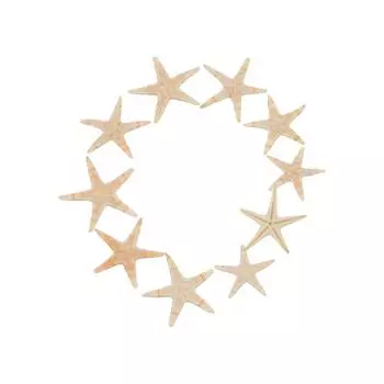 Epoxy Resin Crafts Shell Conch Resin Casting Fish Tank Decoration Starfish Aquarium Supplies 2-3cm-50pcs