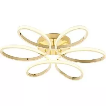 Eray Lighting 501 Желтая светодиодная люстра