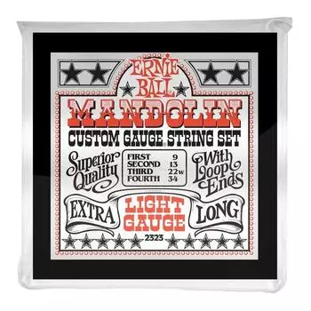 ERNIE BALL 2323 Mandolin string STAINLESS STEEL MANDOLIN LIGHT LOOP END [Genuine product] (09-34)