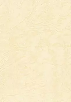 Eskent Цветная бумага для рисования Lezak 66 175 кг Quarter Cut Cream 50 листов 1431044